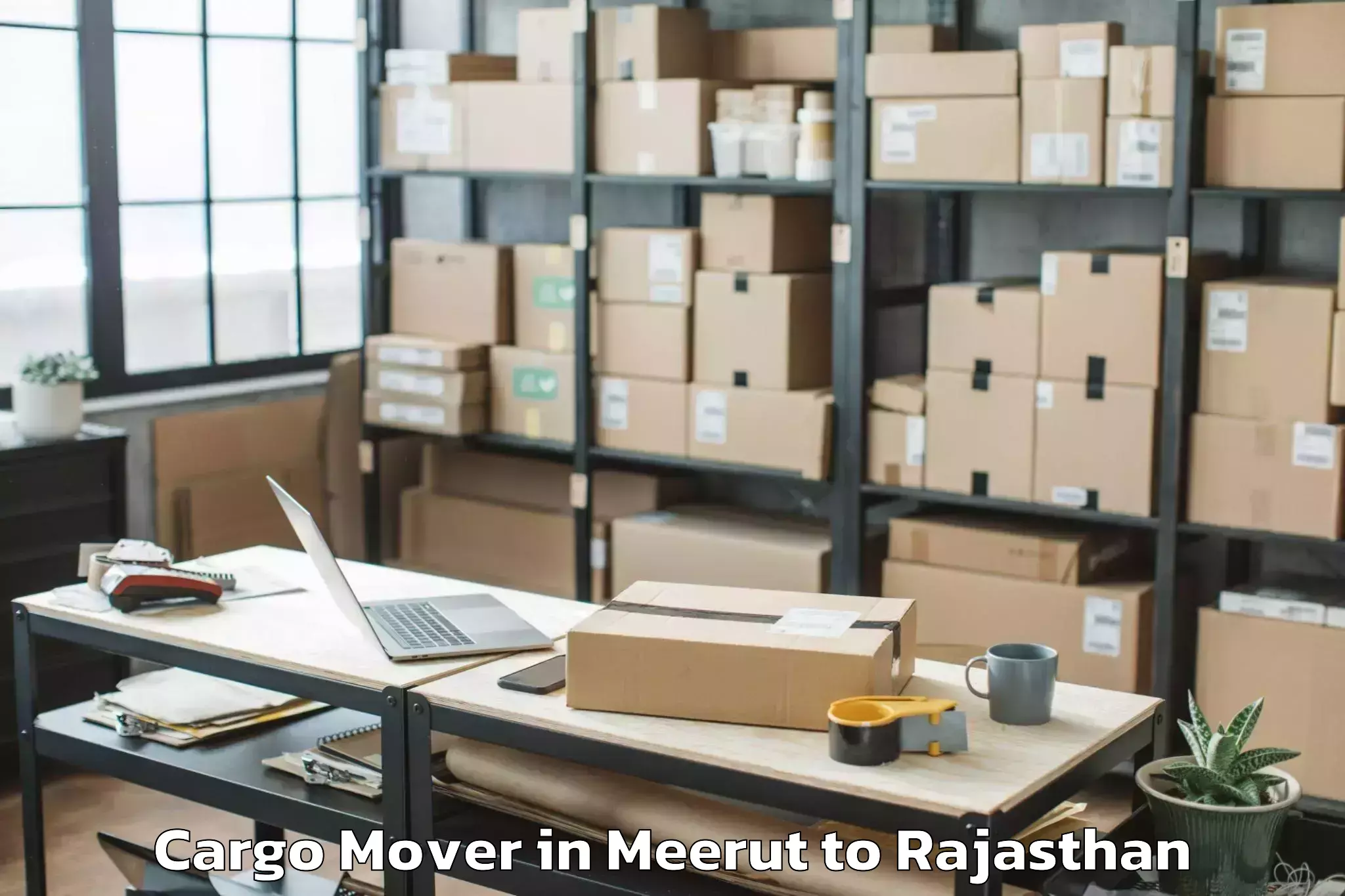 Book Meerut to Sheoganj Cargo Mover Online